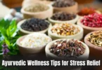 ayurvedic wellness tips for stress relief