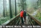 how to improve mental wellness naturally