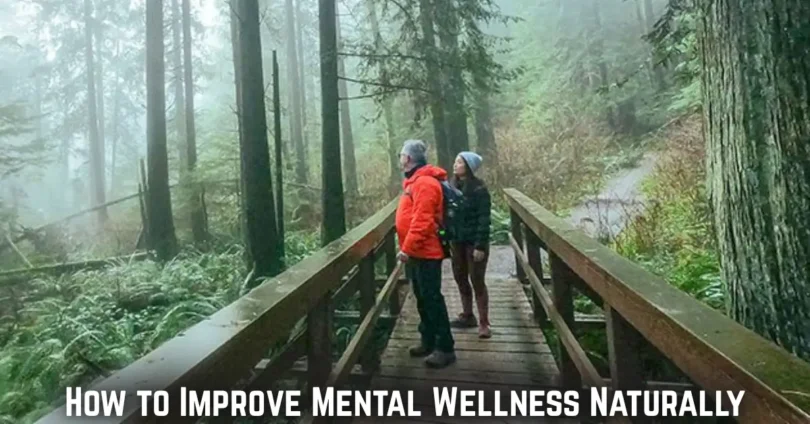 how to improve mental wellness naturally