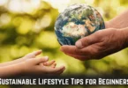 sustainable lifestyle tips for beginners